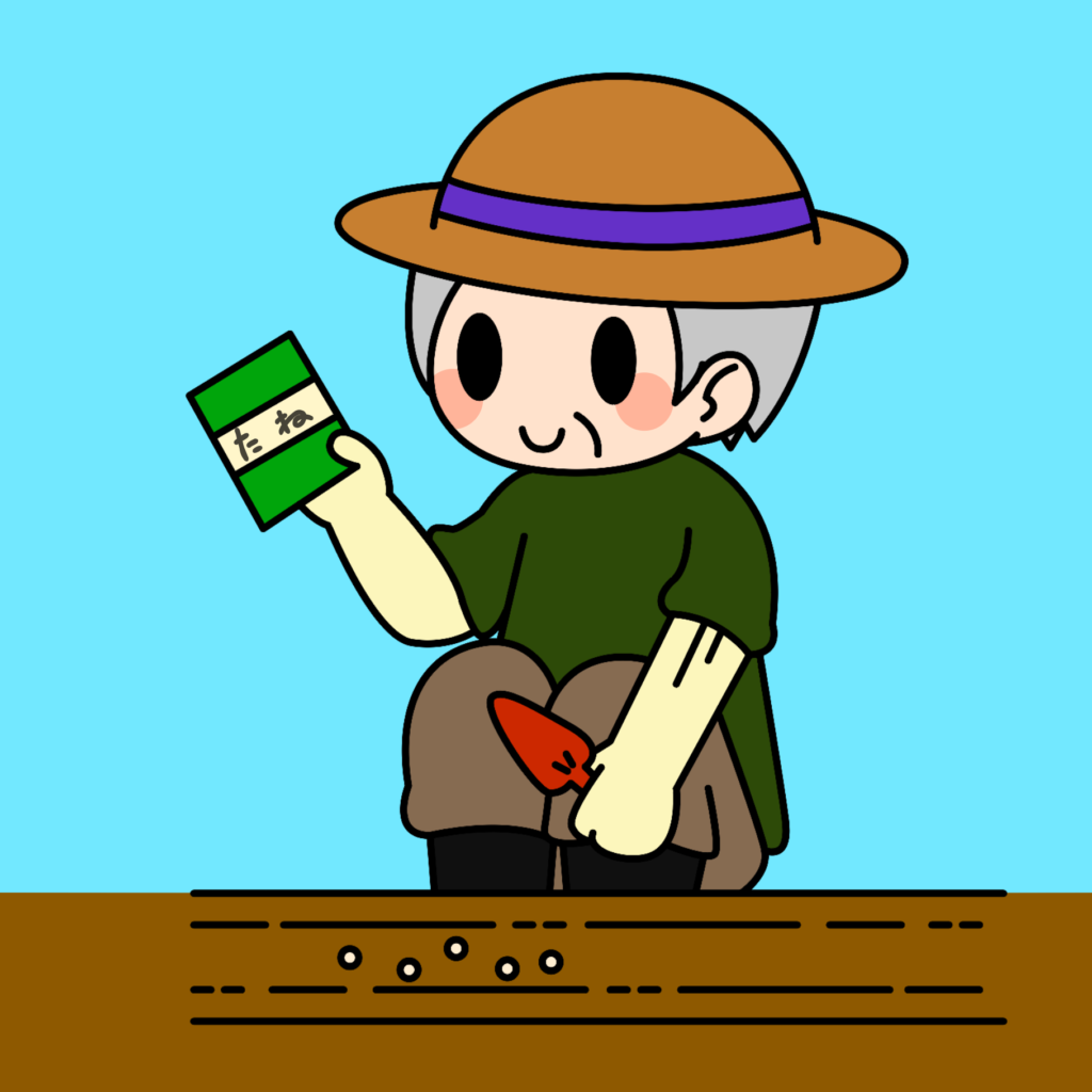 大根タネまき